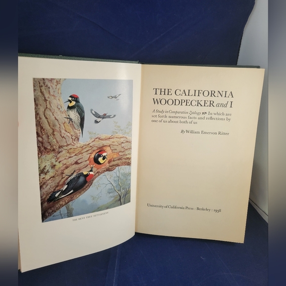 Vintage The California Woodpecker And I by William Ritter. Hardcover 1938 - Picture 7 of 11